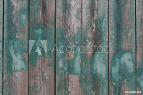 Bild på Gray and green weathered boards Natural background of wood